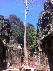 Ta Prohm 4